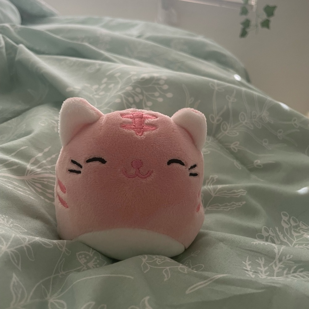 Squishmallow